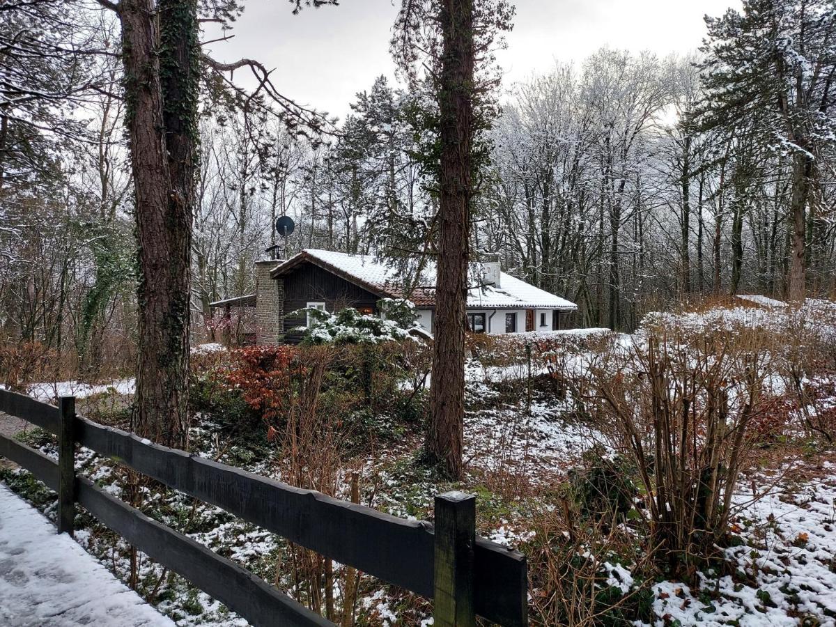 Chalet Des Pins D'Autriche Comblain-Fairon Exteriör bild