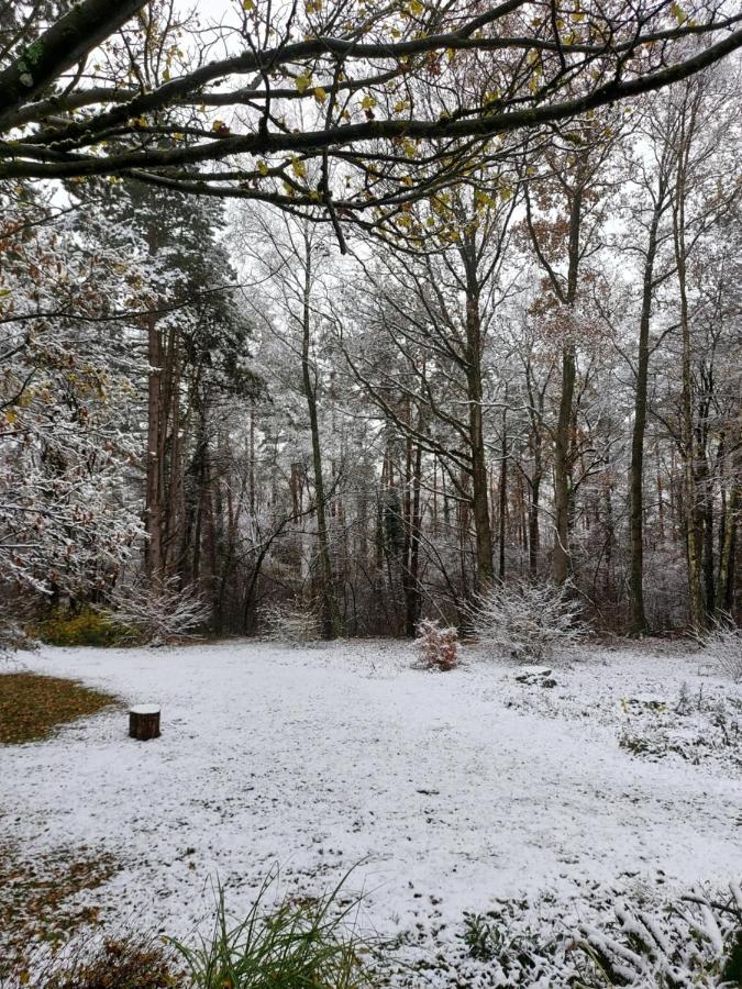 Chalet Des Pins D'Autriche Comblain-Fairon Exteriör bild